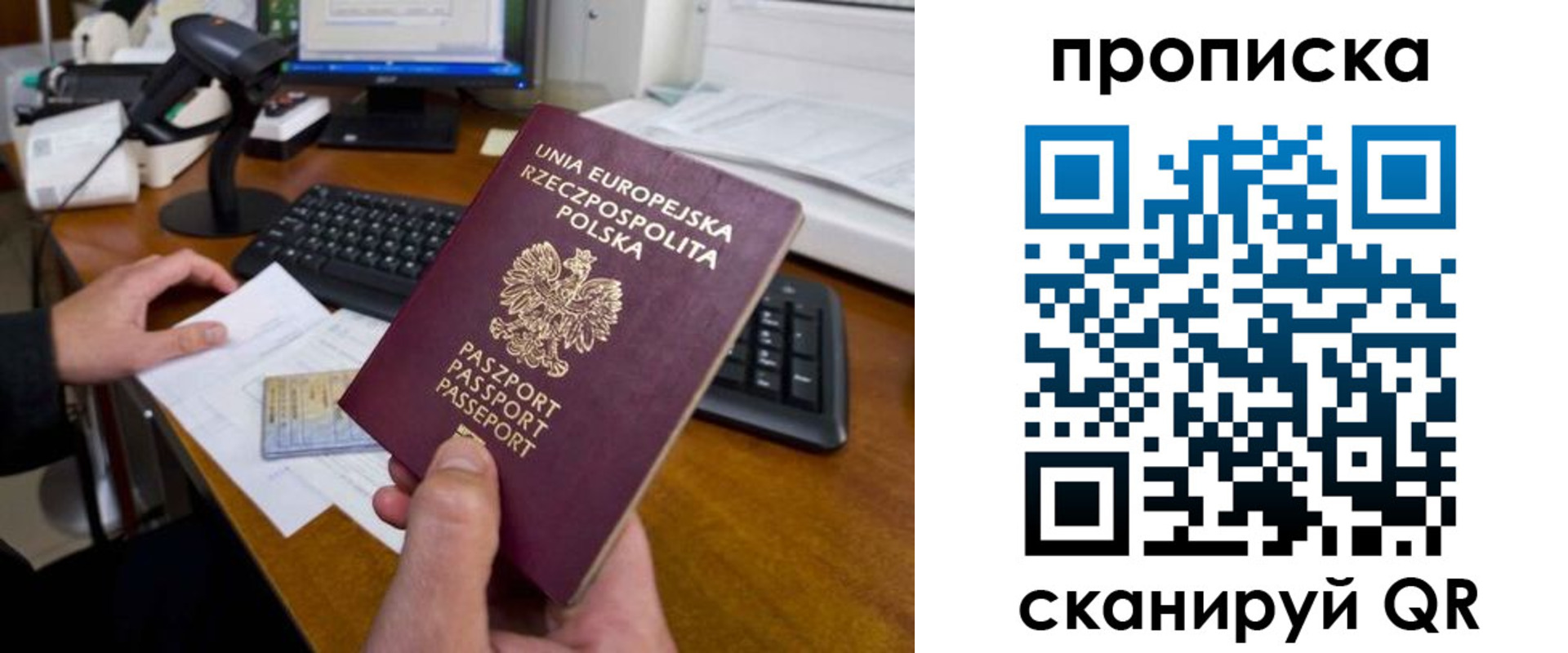 прописка для школы в Ипатово
